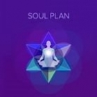 gallery/soul plan reading